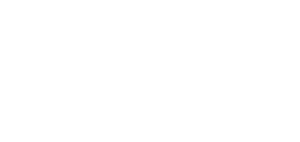 Ray Buys Cars